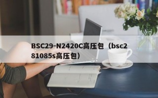 BSC29-N2420C高压包（bsc281085s高压包）