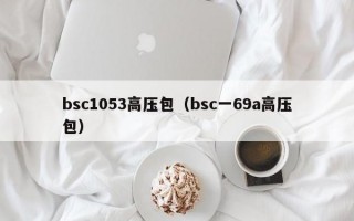bsc1053高压包（bsc一69a高压包）